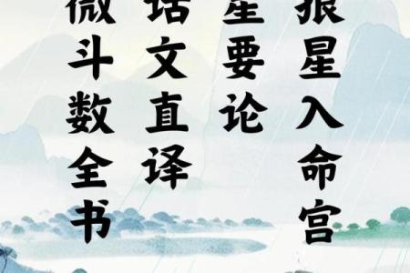 紫薇斗数有人请客