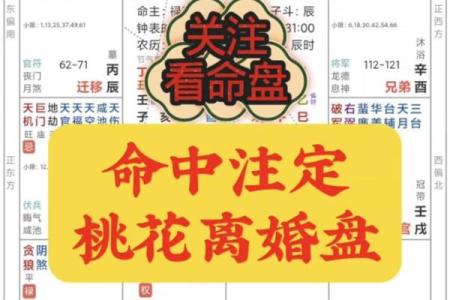 紫薇斗数测桃花