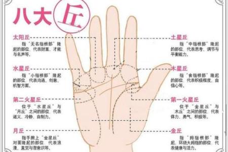 手相图解大全女右手算命 看手相算命图解女性右手
