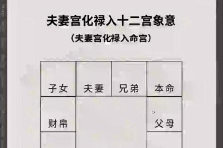破碎紫微斗数 破碎紫微斗数夫妻宫？