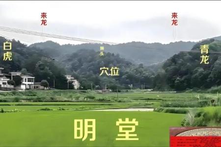 坟地风水后辈出贵人的祖坟风水