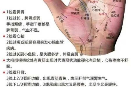 图解：手相上升线算命