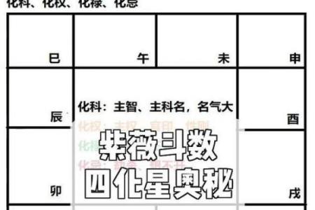 紫薇斗数免费入门