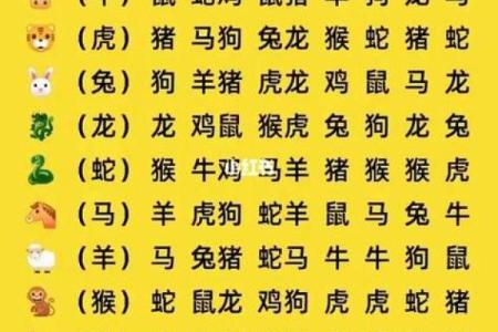 属相配对父子相冲