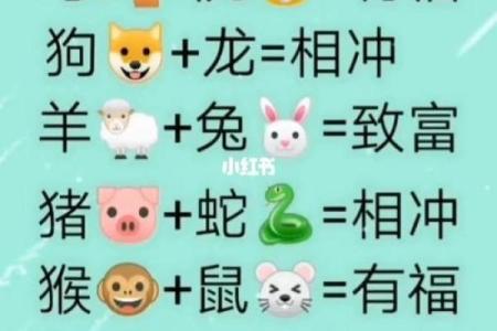 生肖配对：属马的和什么属相最配