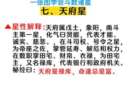 张三星紫微斗数 张三星政委？