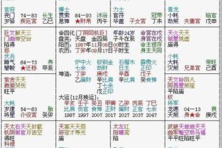 杨紫紫薇斗数