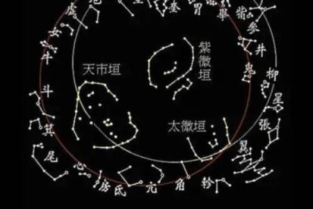 紫薇斗数全部星宿