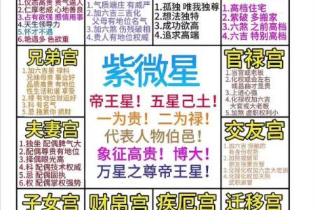 紫薇斗数排盘群