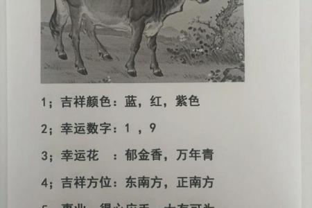 属牛的住什么方位容易沉着冷静