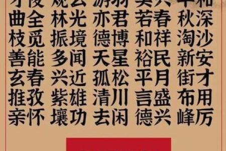 全国姓名配对大普查 姓名配对率？