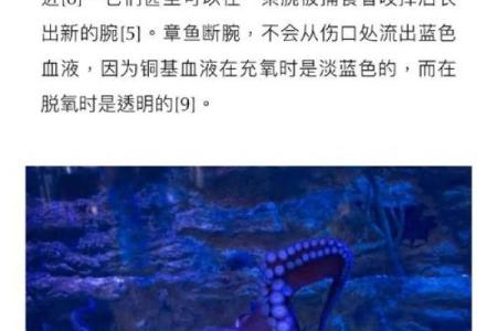章鱼姓名配对三藏 章鱼的另一个名字叫什么？