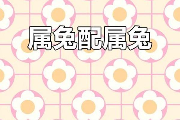 兔跟什么生肖配对最好 生肖兔最佳配对