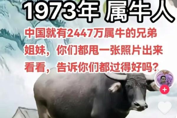 1973年属牛蕞佳配对