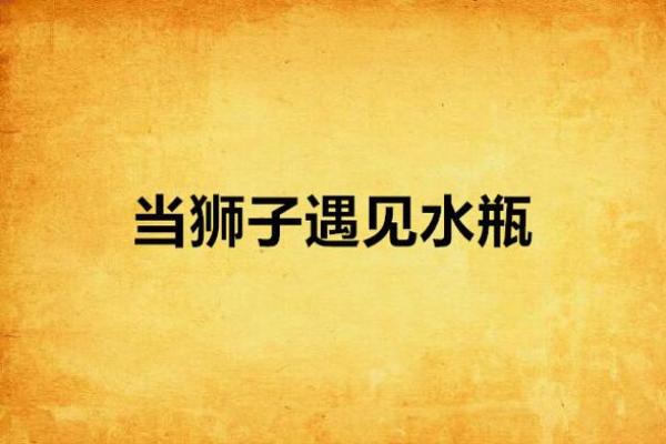 狮子和水瓶配对指数