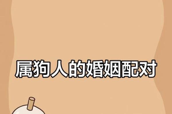 狗跟什么生肖配对最好 生肖狗最佳配对