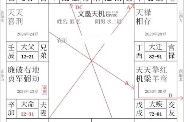 紫薇斗数怎么看有没有孩子