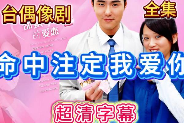 命中注定的血型恋人
