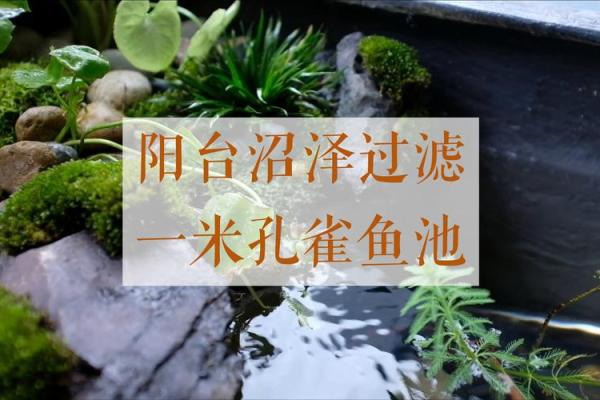 房屋放水吉日