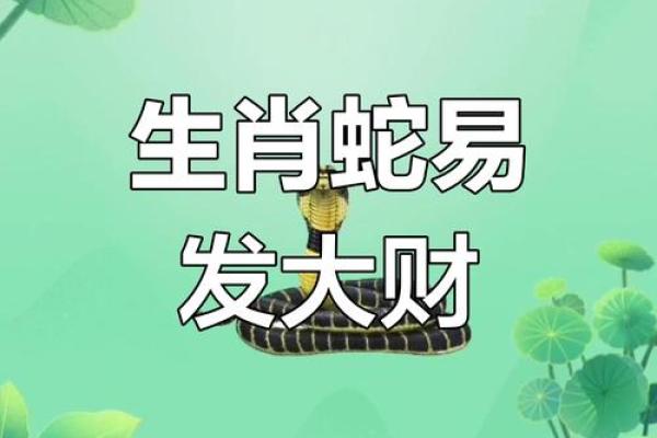 办公室属蛇风水应该如何布局 生肖蛇人赶紧看过来