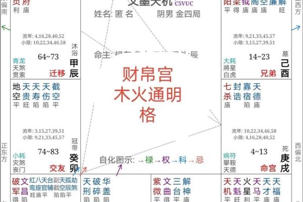 紫薇斗数火空则发几个亿
