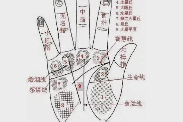 免费算婚姻姻缘 免费算婚姻姻缘免费测试？