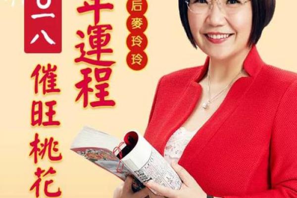 正版麦玲玲算八字语对话