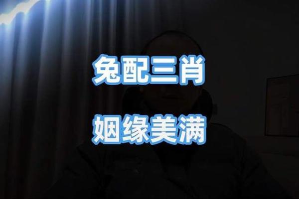 兔和什么属相配对幸福
