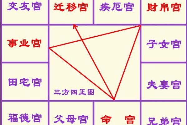 申宫紫薇斗数