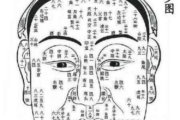 麻衣相算命