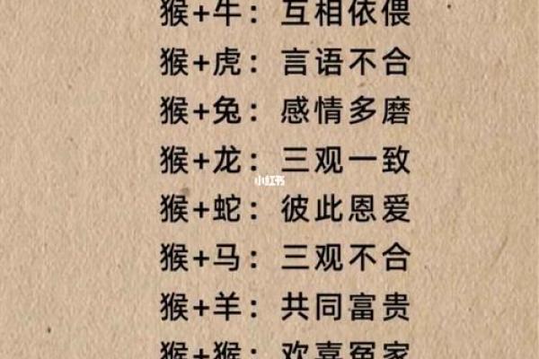 1994年属什么生肖配对最好