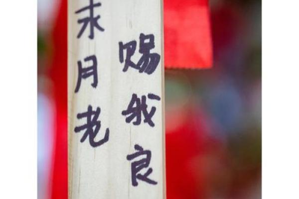 月老灵卦姻缘签