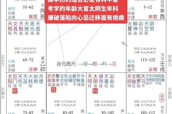 八卦与紫微斗数一样吗 紫微斗数跟八字哪个准？
