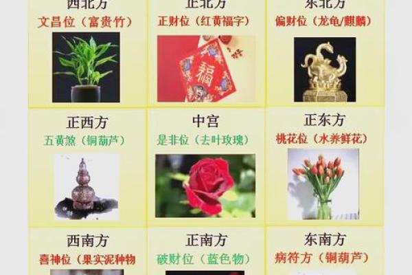 本日喜神方位-2024年10月24日什么方向吉利