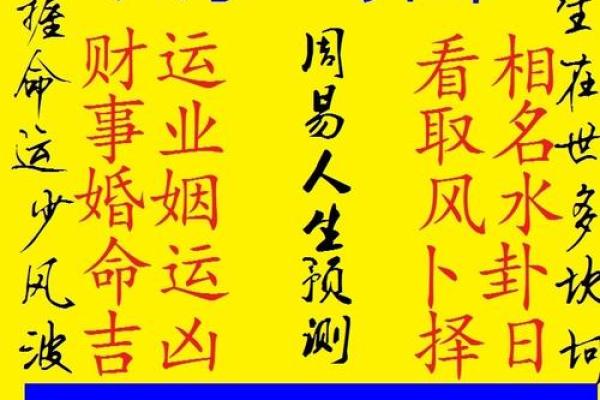 精批八字,八字算命详细精批一生