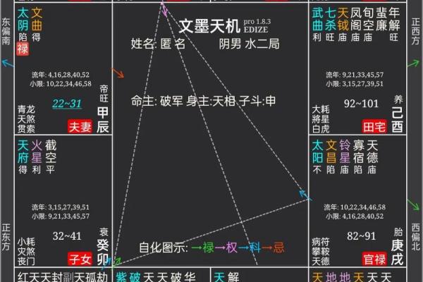 轮回紫薇斗数吧