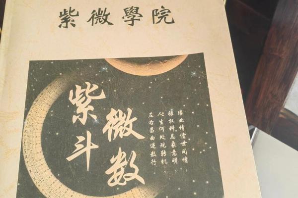 轮回紫薇斗数吧