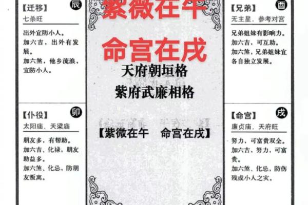 紫薇免费算命准不准？详解紫薇的命理学特点