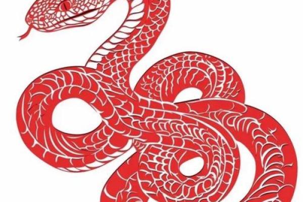 紫薇斗数蛇