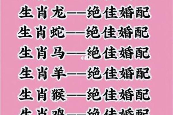 属相配对指数