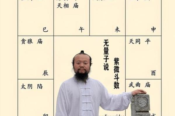 紫微斗数之诸星落命宫参断