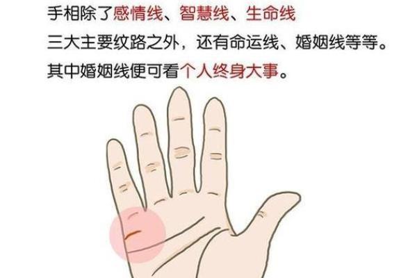 男人左手手相算命图解 婚姻线清晰无曲折象征幸福