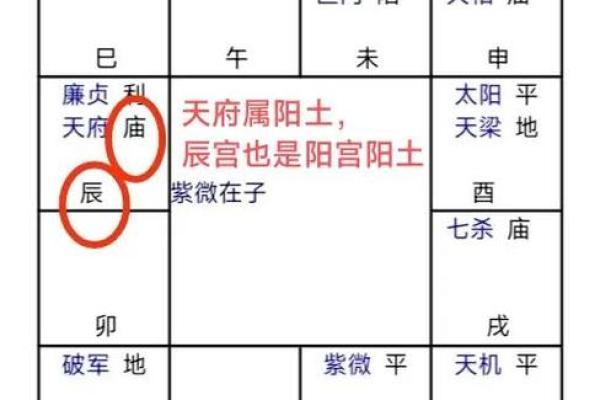 紫薇斗数灾