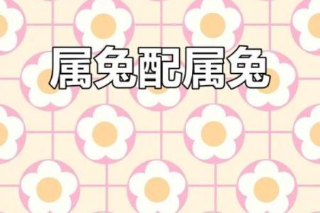 兔跟什么生肖配对最好 生肖兔最佳配对