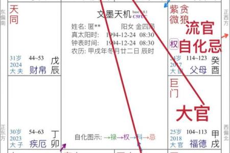 逆天改运？《飞星紫微斗数》古籍揭秘命运织锦，一册在手扭转乾坤