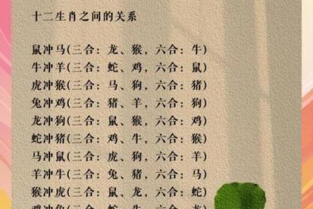 属龙和什么属相最配对 属龙和什么属相相冲