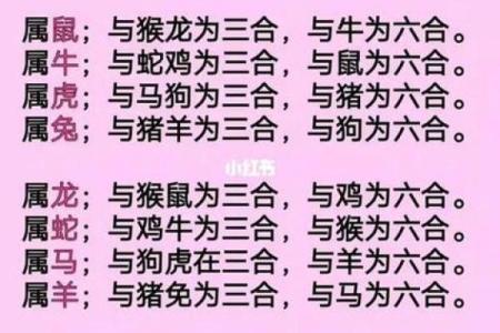 牛属与哪些生肖最佳配对