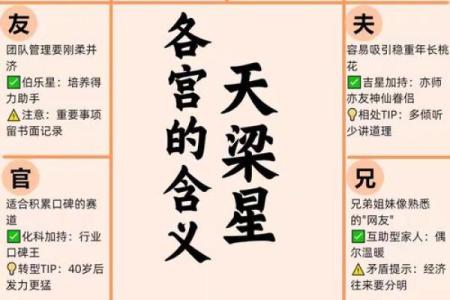 紫微斗数之诸星值限年运气推断：天梁星之年