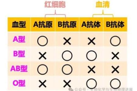 血型隐藏的病态绝症