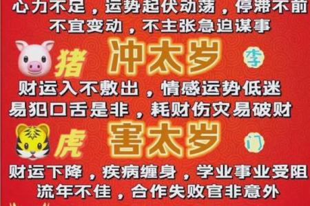 婚姻配对属蛇和属猪相克怎么办